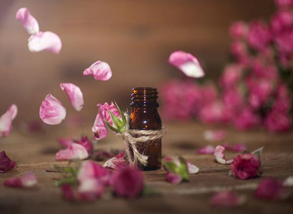 تصویر 1 از خرید و قیمت فروش عمده گلاب ممتاز